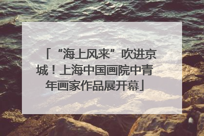 “海上风来”吹进京城！上海中国画院中青年画家作品展开幕